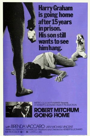 Постер к фильму Иди домой (1971)