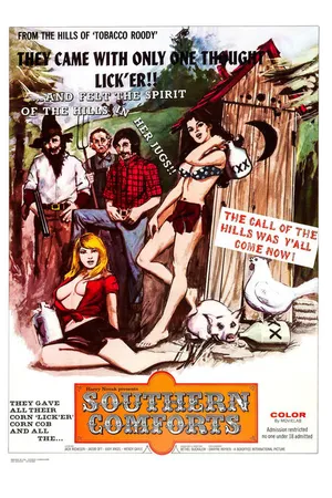 Постер к фильму Южные удобства (1971)