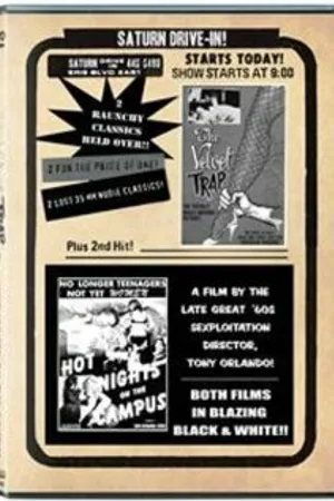 Постер к фильму Hot Nights on the Campus (1966)
