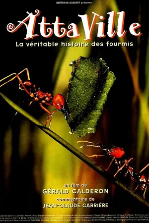 Постер к фильму Attaville, la véritable histoire des fourmis (1998)