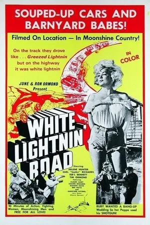 Постер к фильму White Lightnin' Road (1967)