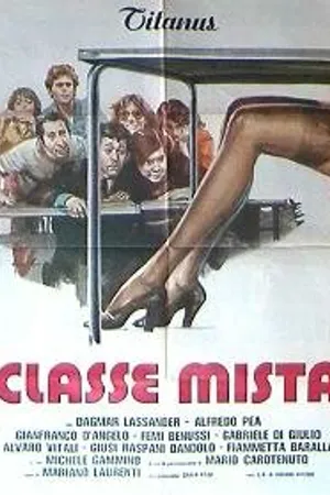 Постер к фильму Смешанный класс (1976)