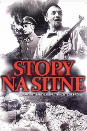 Постер к фильму Следы ведут в пропасть (1969)
