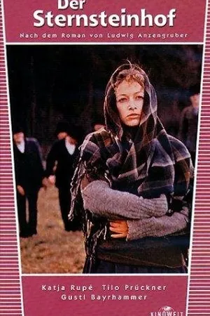 Постер к фильму Поместье Штернштайнхоф (1976)
