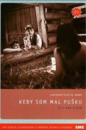 Постер к фильму Если бы у меня было ружье (1971)