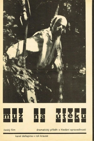 Постер к фильму Muz na úteku (1969)