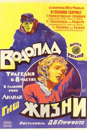 Постер к фильму Водопад жизни (1920)