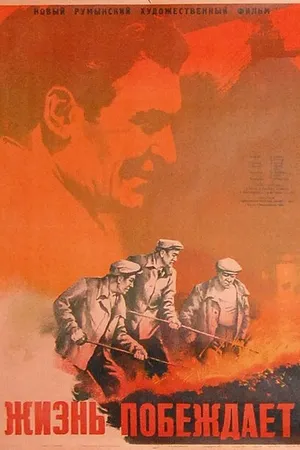 Постер к фильму Жизнь побеждает (1951)