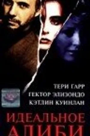 Постер к фильму Идеальное алиби (1995)