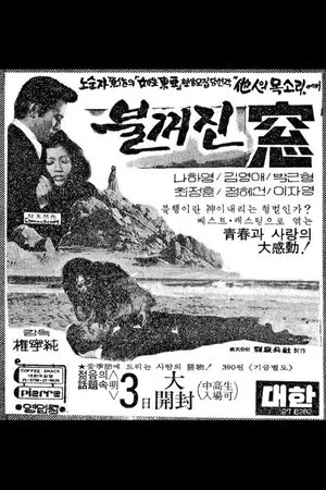 Постер к фильму Погасшее окно (1976)