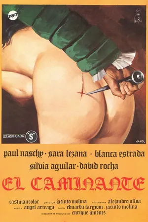 Постер к фильму Странник (1979)