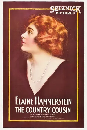 Постер к фильму The Country Cousin (1919)