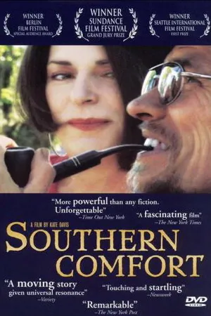 Постер к фильму Южный комфорт (2001)