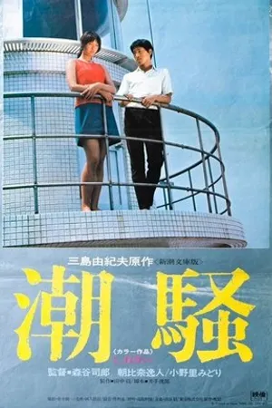Постер к фильму Шум прибоя (1971)