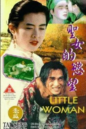 Постер к фильму Маленькая женщина (1990)