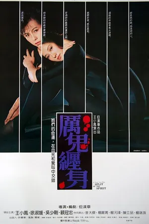 Постер к фильму Блуждающая душа (1987)