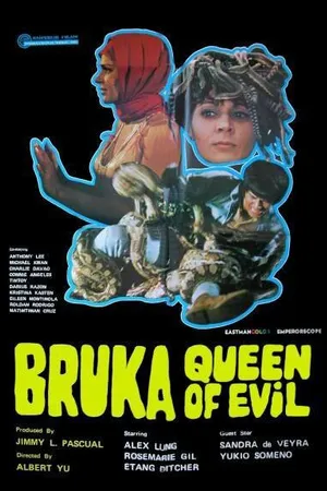 Постер к фильму Брука: Повелительница тьмы (1973)