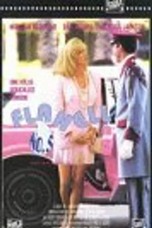 Постер к фильму Flanell No. 5 (1998)