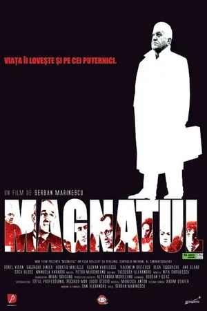 Постер к фильму Magnatul (2004)