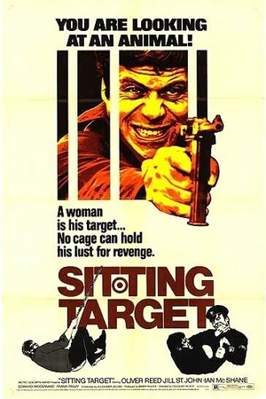 Постер к фильму Сидячая цель (1972)