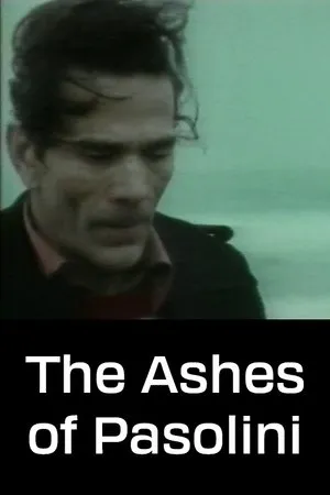 Постер к фильму Le ceneri di Pasolini (1994)
