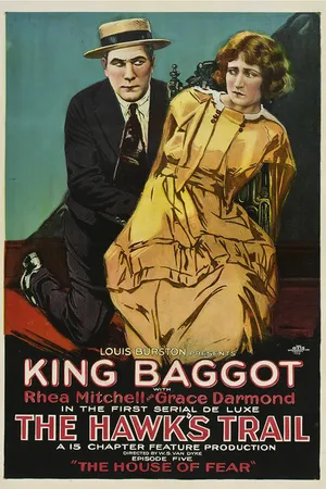 Постер к фильму The Hawk's Trail (1919)