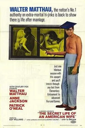 Постер к фильму Тайная жизнь американской жены (1968)