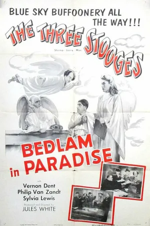 Постер к фильму Бедлам в Раю (1955)
