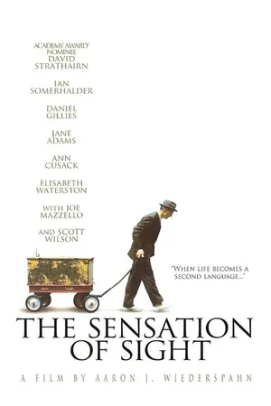 Постер к фильму Ощущение видения (2006)