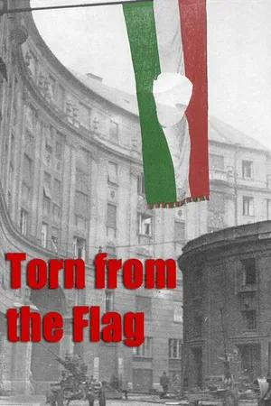 Постер к фильму Torn from the Flag: A Film by Klaudia Kovacs (2007)