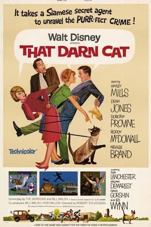 Постер к фильму Эта дикая кошка (1965)