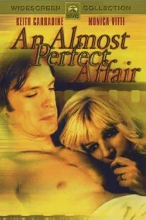 Постер к фильму Почти идеальный роман (1979)
