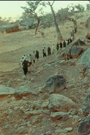 Постер к фильму Sigui 1970 - les clameurs d'Amani (1970)