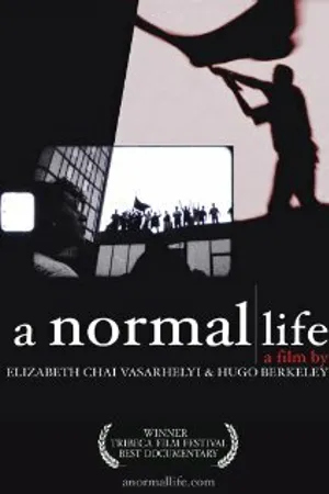 Постер к фильму A Normal Life (2003)