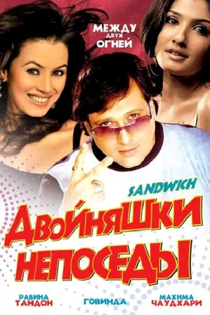 Постер к фильму Двойняшки непоседы (2006)