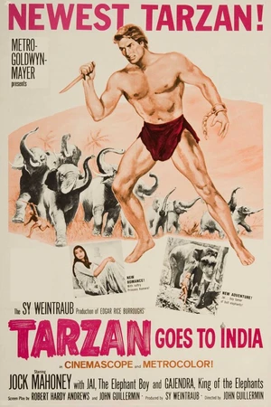 Постер к фильму Тарзан едет в Индию (1962)