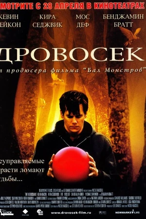 Постер к фильму Дровосек (2004)