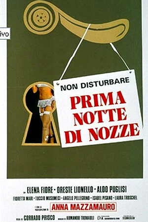 Постер к фильму Первая брачная ночь (1976)