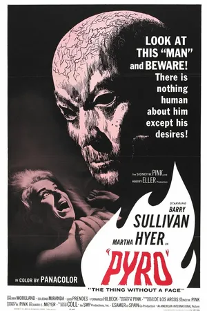 Постер к фильму Огонь (1964)