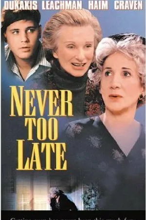 Постер к фильму Никогда не поздно (1996)