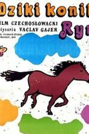 Постер к фильму Divoký koník Ryn (1982)