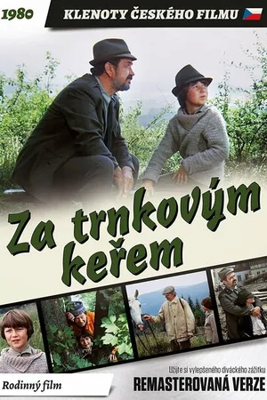 Постер к фильму За кустами терновника (1981)