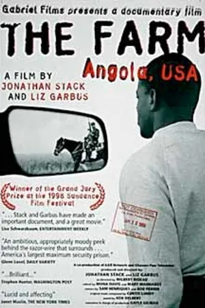 Постер к фильму Ферма: Ангола, США (1998)