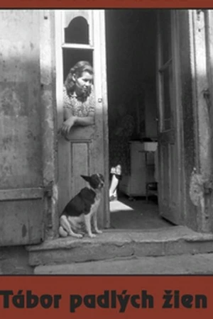 Постер к фильму Лагерь падших женщин (1997)