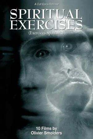 Постер к фильму Любитель (1996)