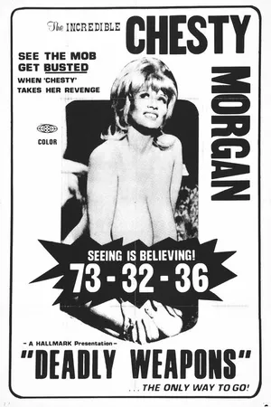 Постер к фильму Смертельное оружие (1974)