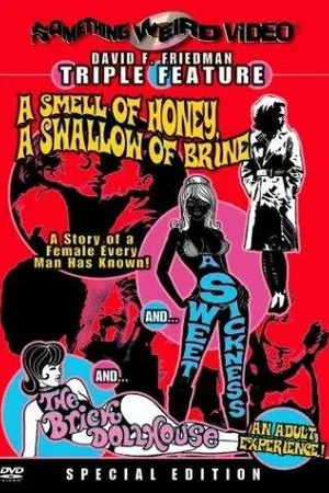 Постер к фильму A Sweet Sickness (1968)