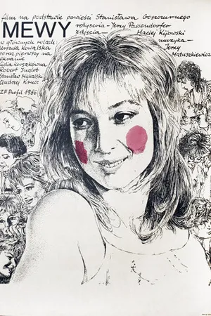 Постер к фильму Чайки (1986)