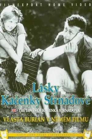 Постер к фильму Любовные похождения Каченки Стрнадовой (1926)