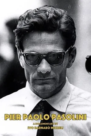 Постер к фильму Pier Paolo Pasolini (1995)